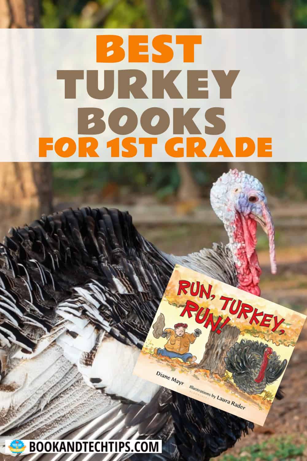 best turkey books for first grade