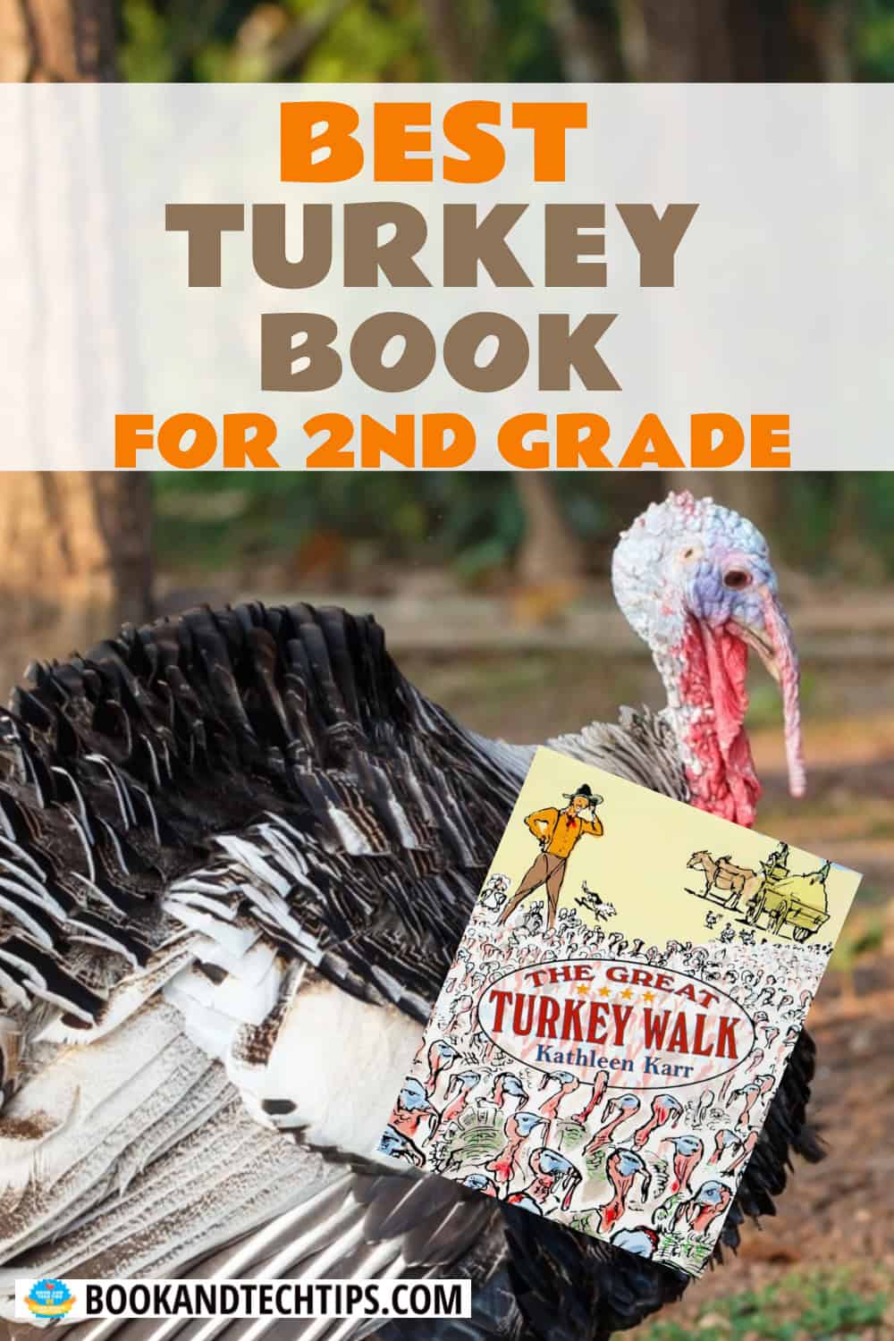 best turkey book for second grade