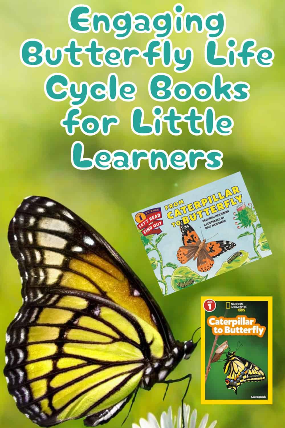 butterfly books for kids