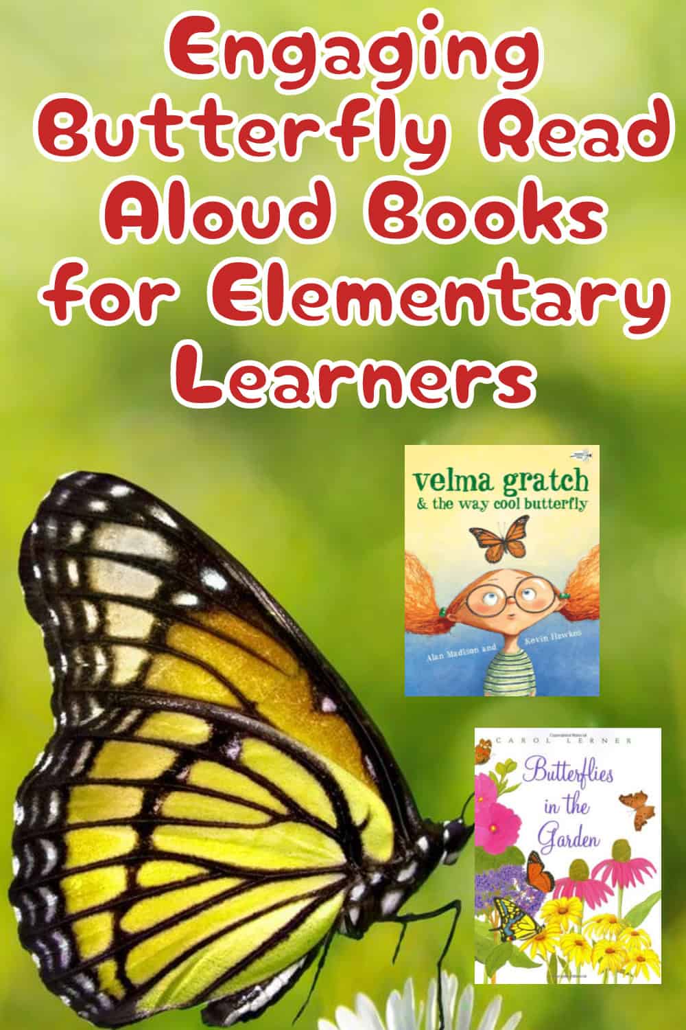 butterfly books for kids