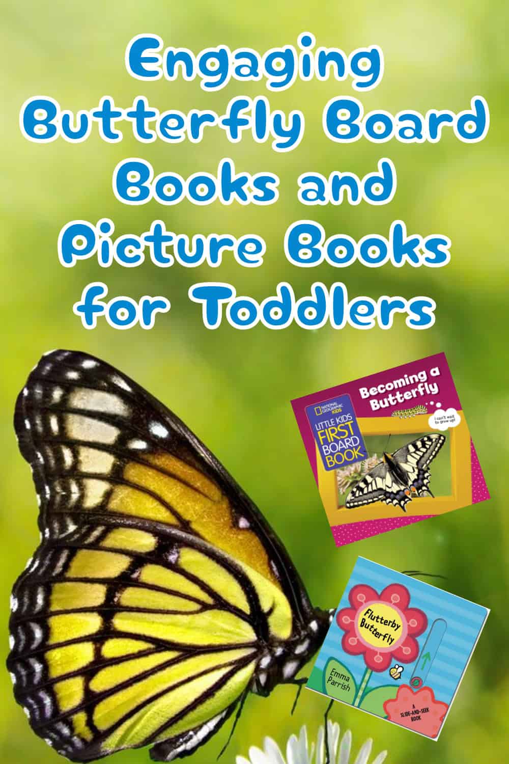 butterfly books for kids