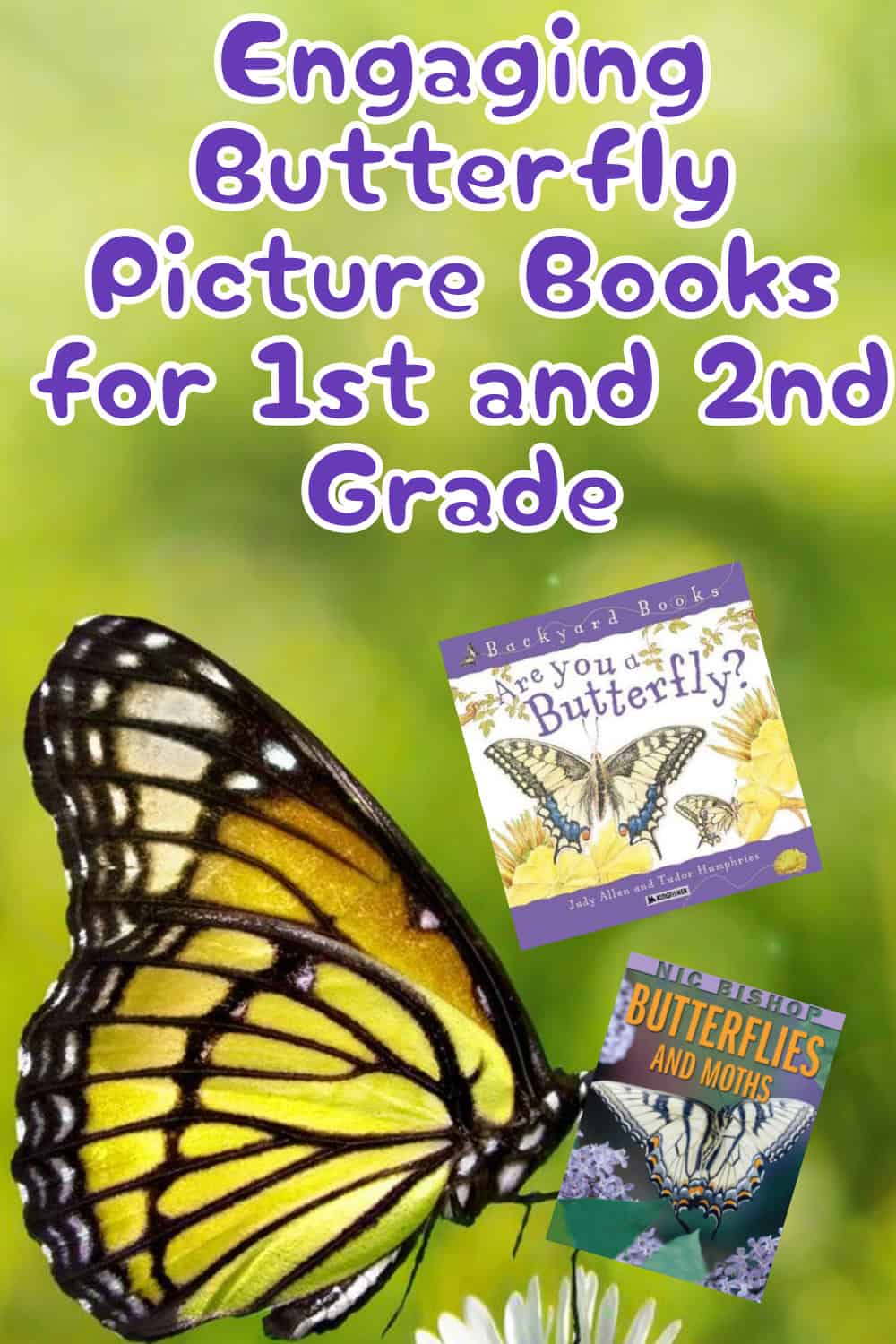 butterfly books for kids