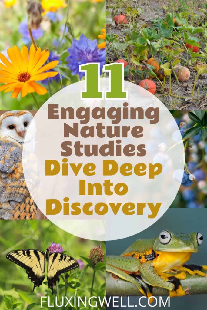 Nature Studies for Kids: Books and Activities - Book and Tech Tips