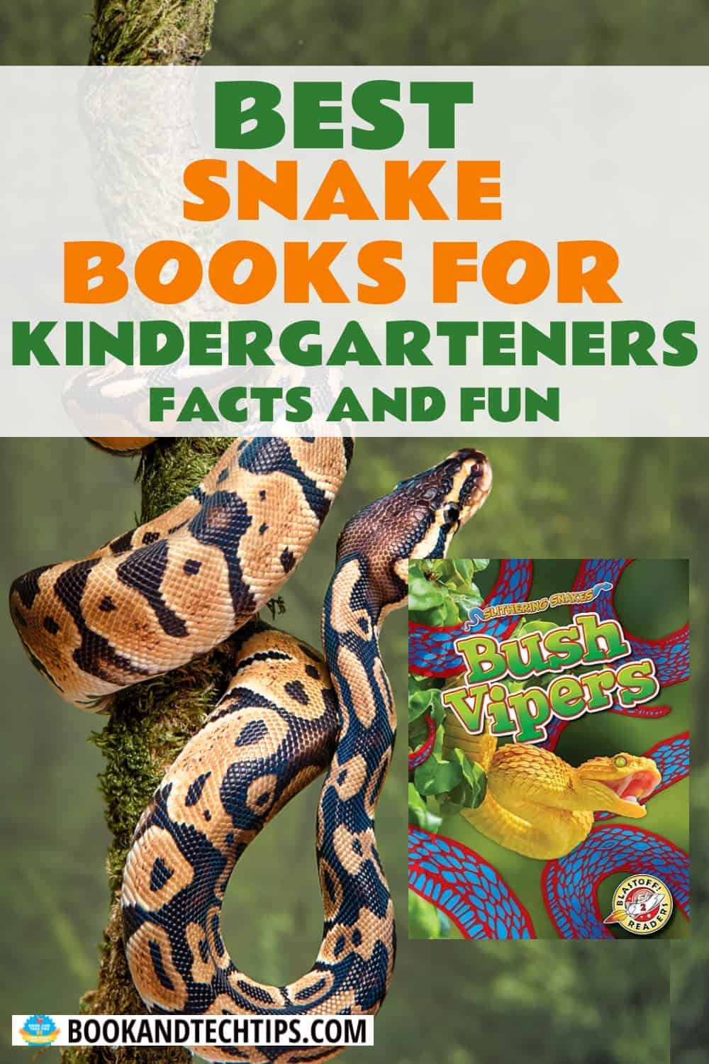 Books About Snakes for kindergarten