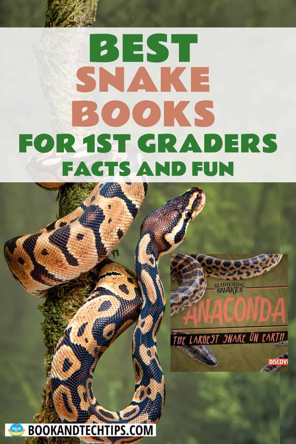 Books About Snakes for first grade