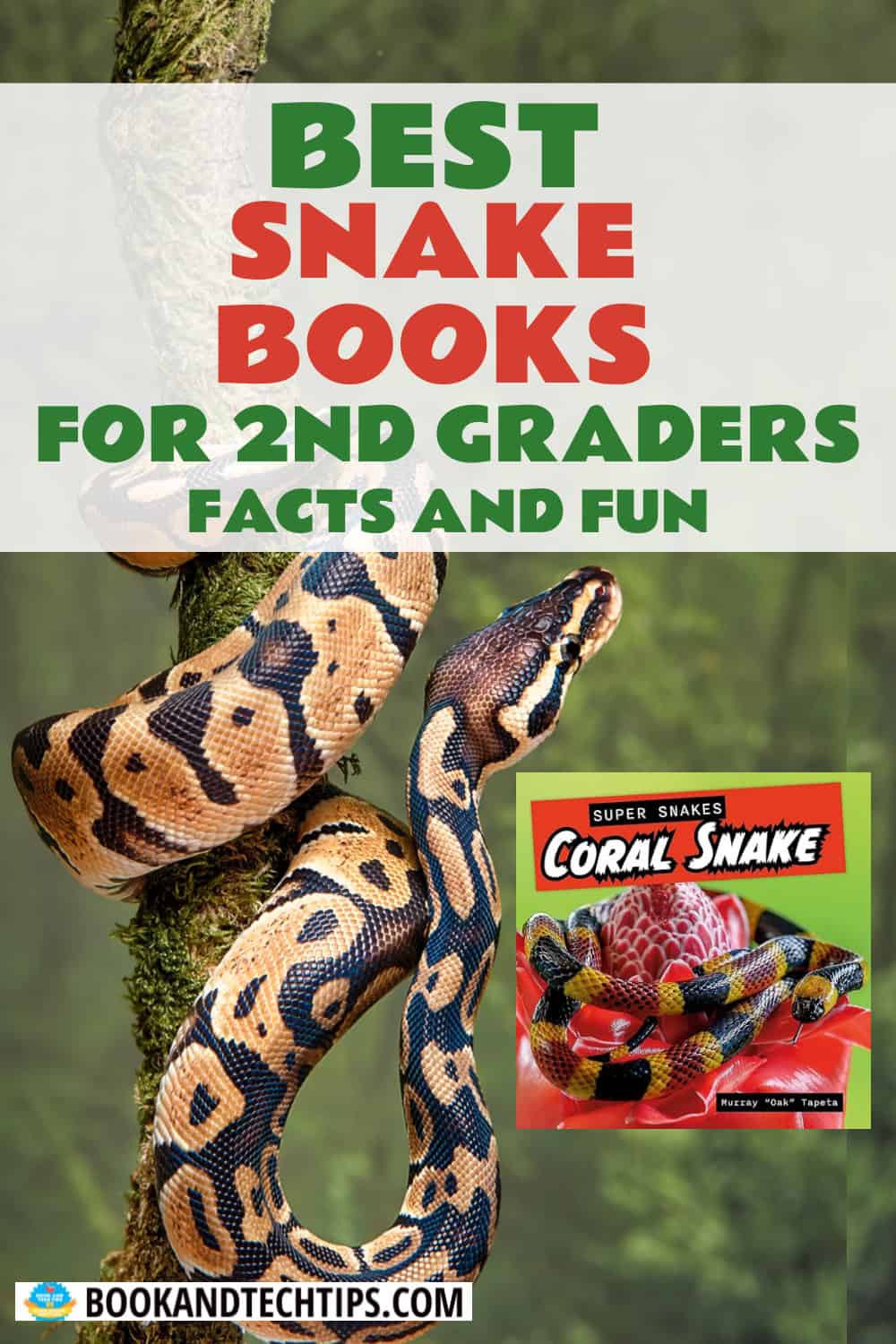 Books About Snakes for 2nd grade