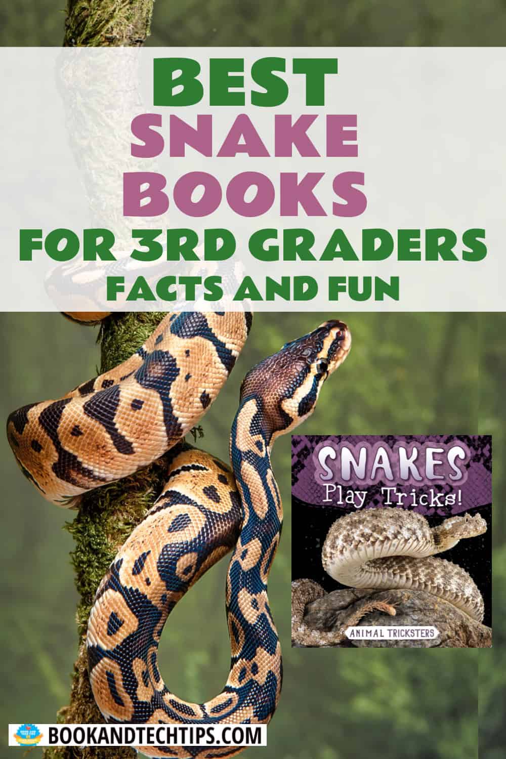 Books About Snakes for 3rd grade