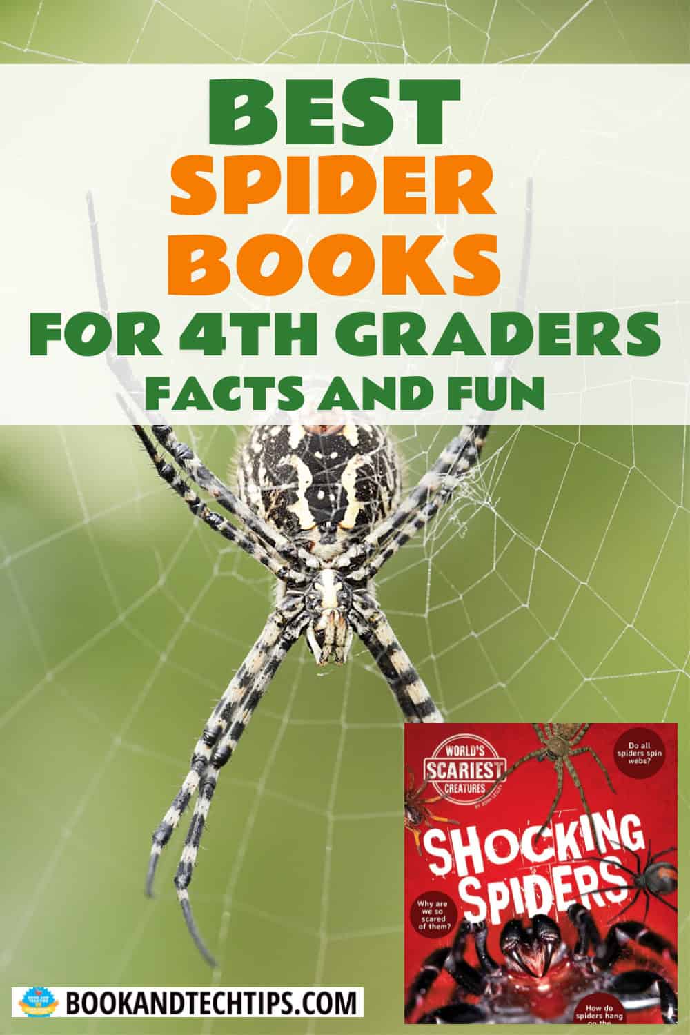 Books About Spiders for fourth grade