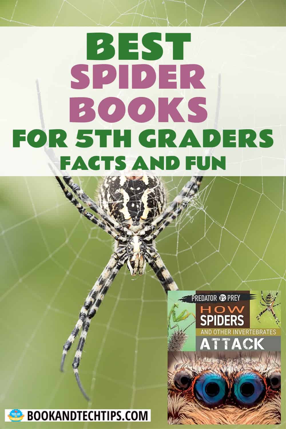 Books About Spiders for fifth grade
