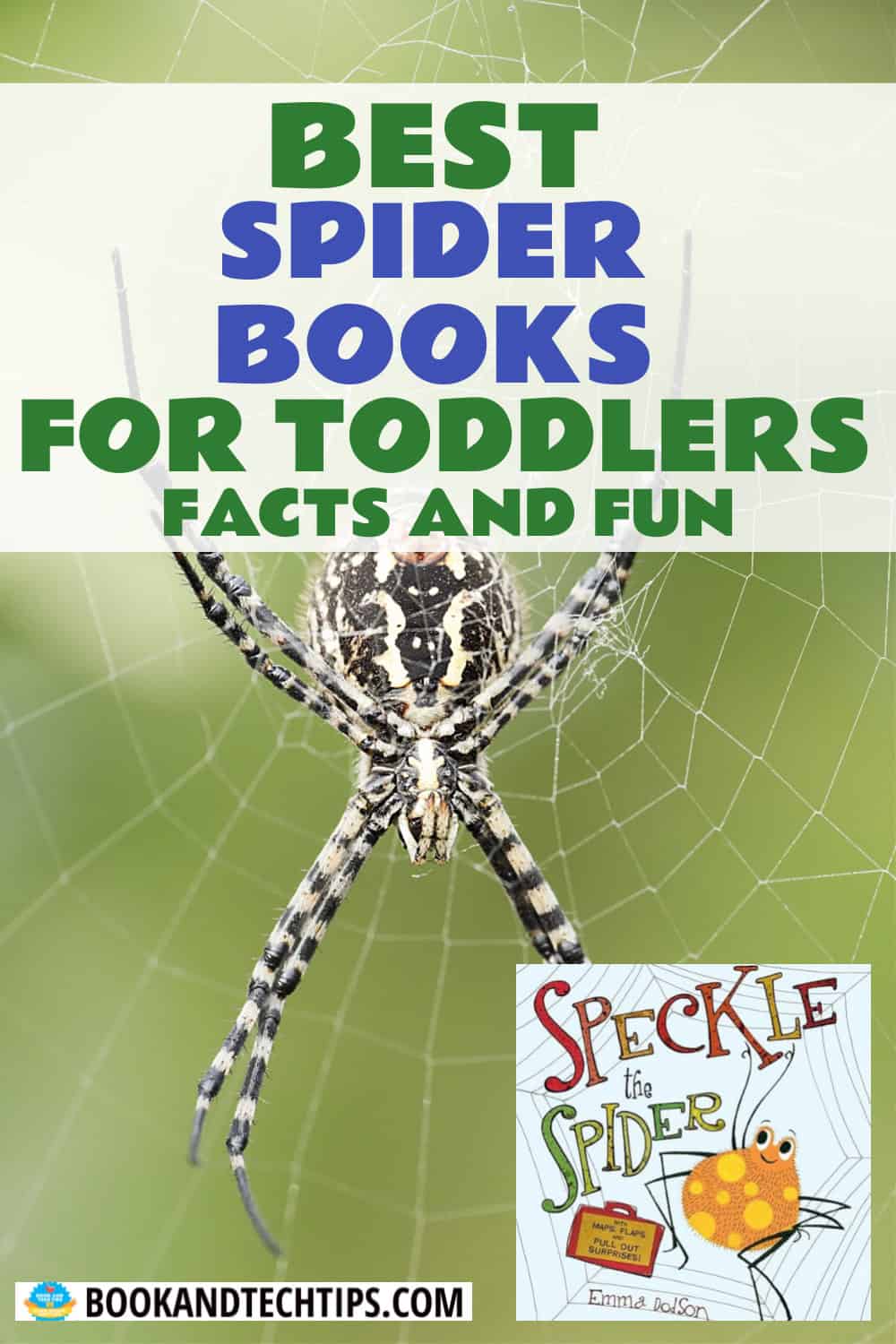 Books About Spiders for toddlers