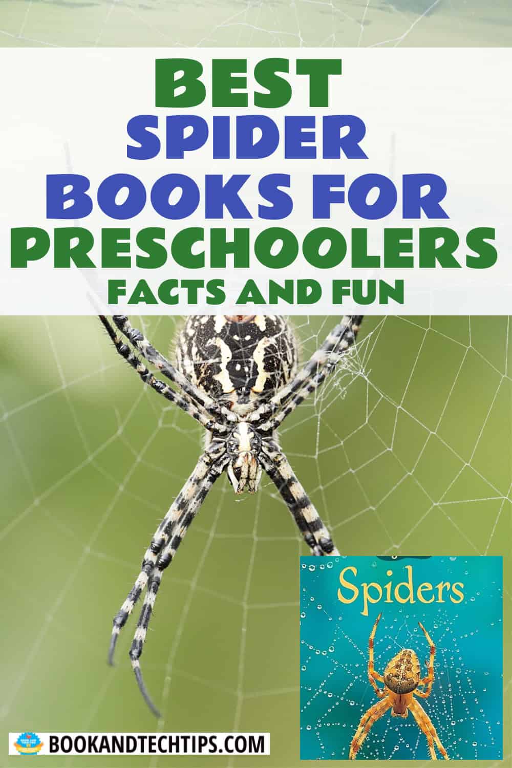 Books About Spiders for preschoolers