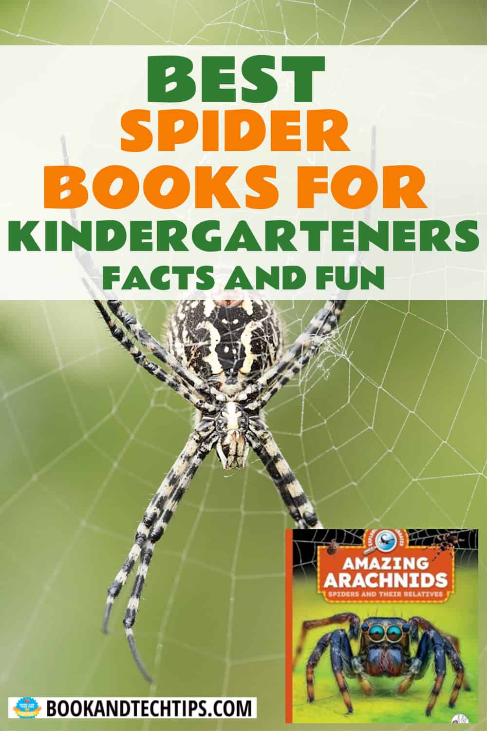 Books About Spiders for kindergarteners