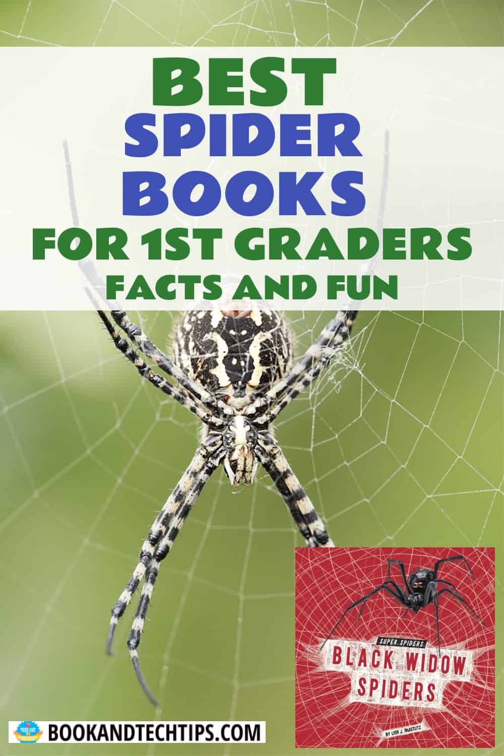 Books About Spiders for first grade