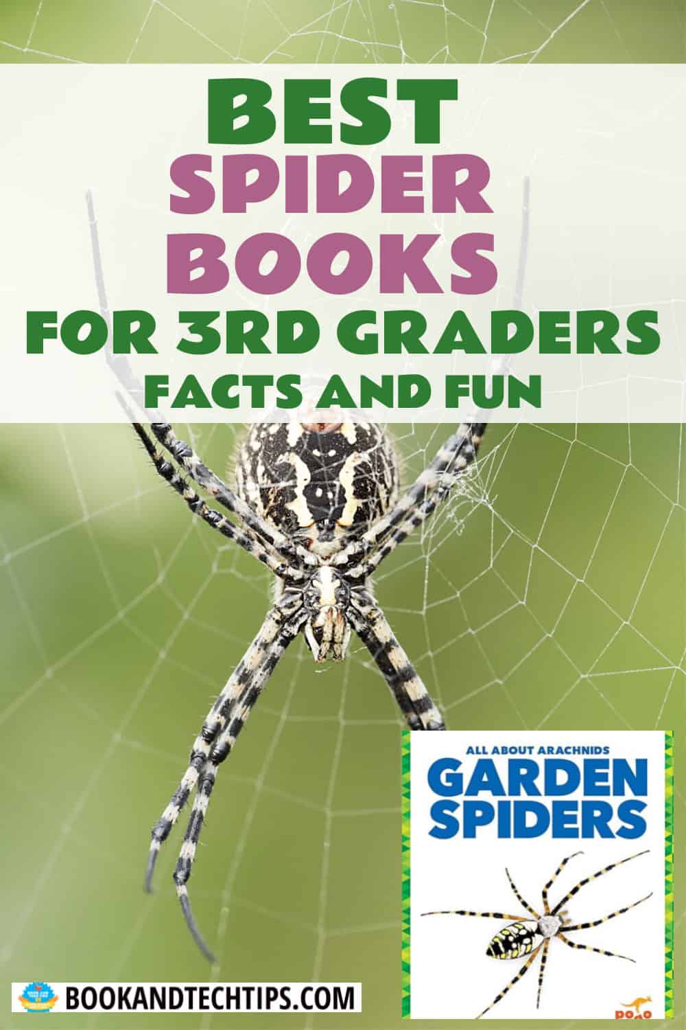 Books About Spiders for third grade
