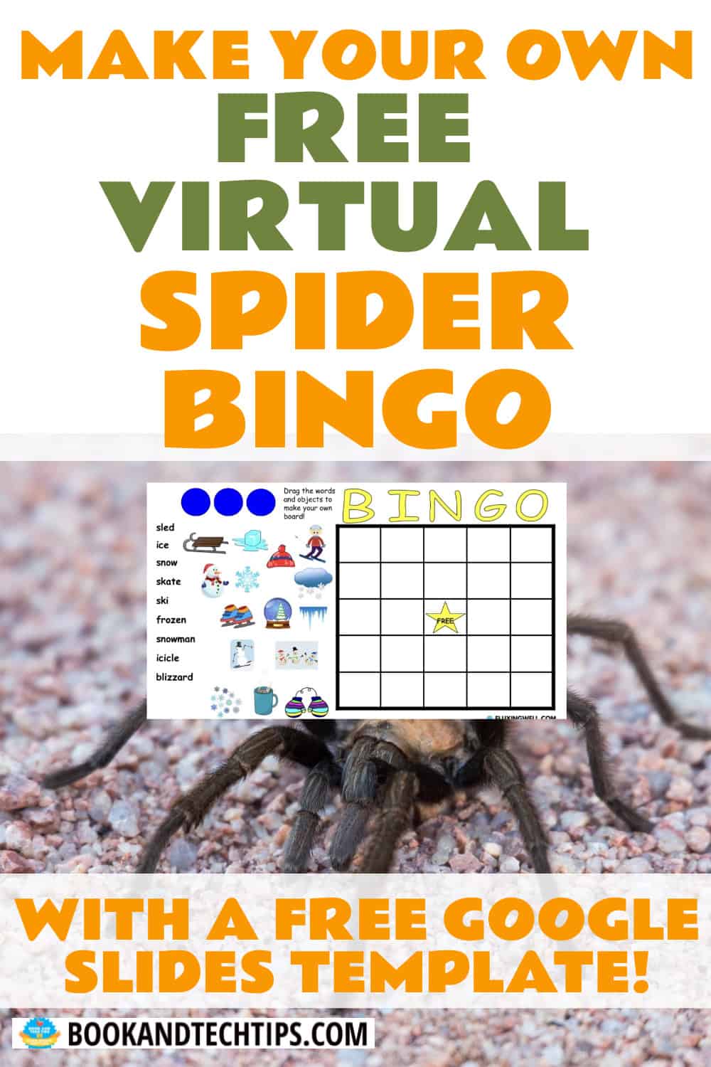 Books About Spiders and virtual spider bingo