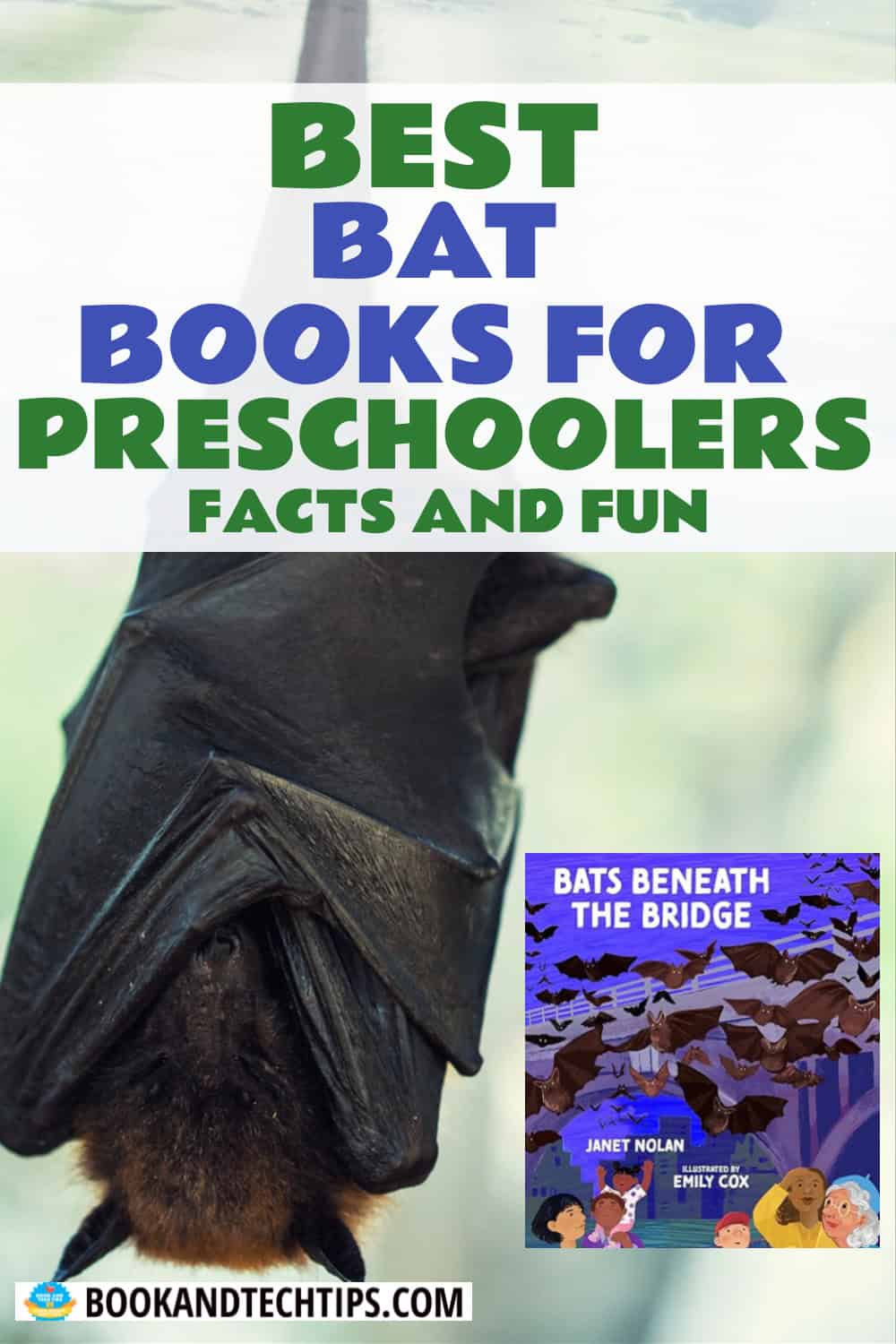 Books About Bats for preschoolers