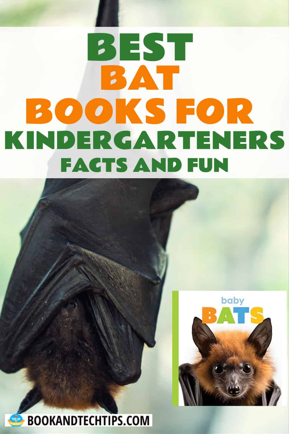 Books About Bats for kindergarteners