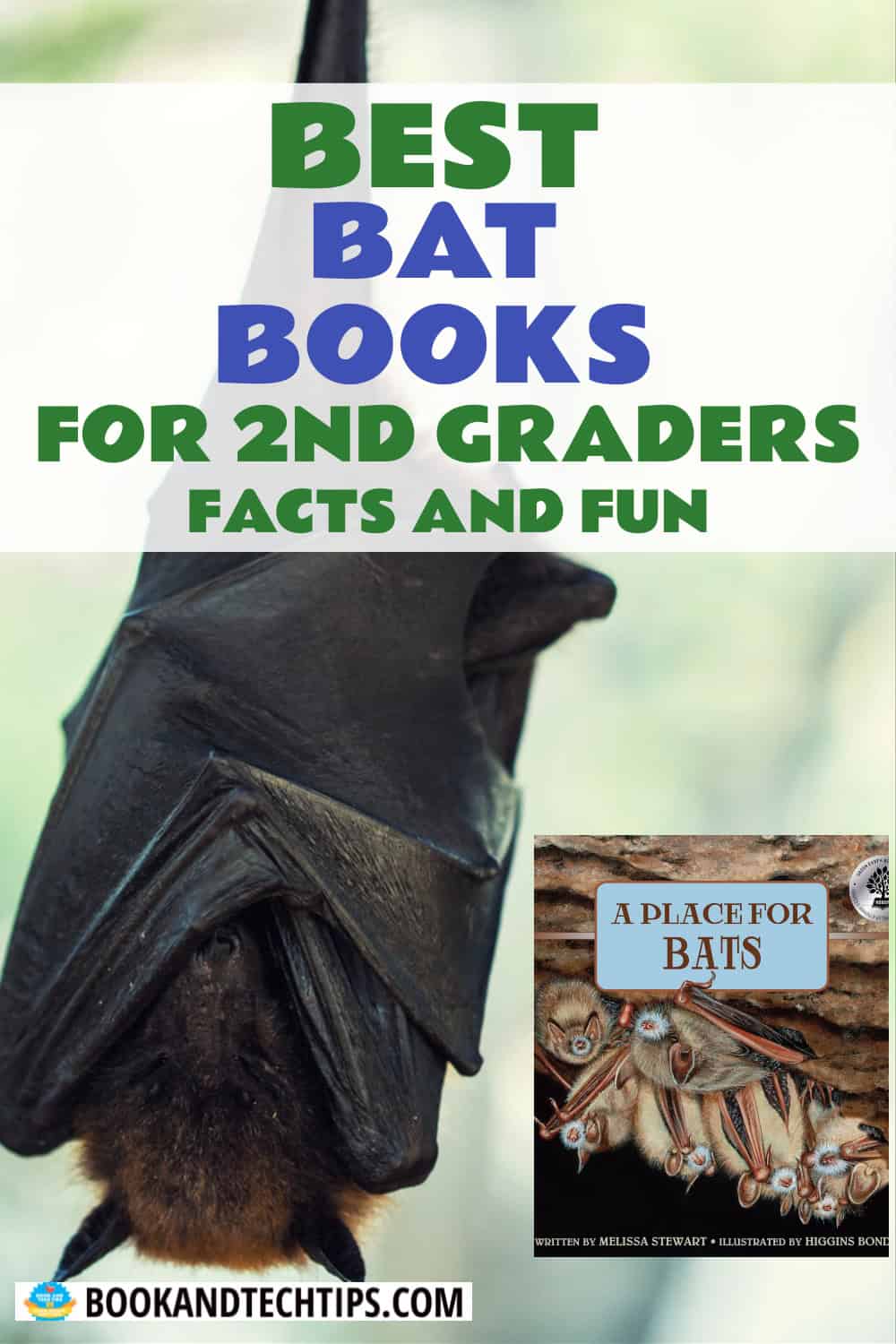 Books About Bats for 2nd grade