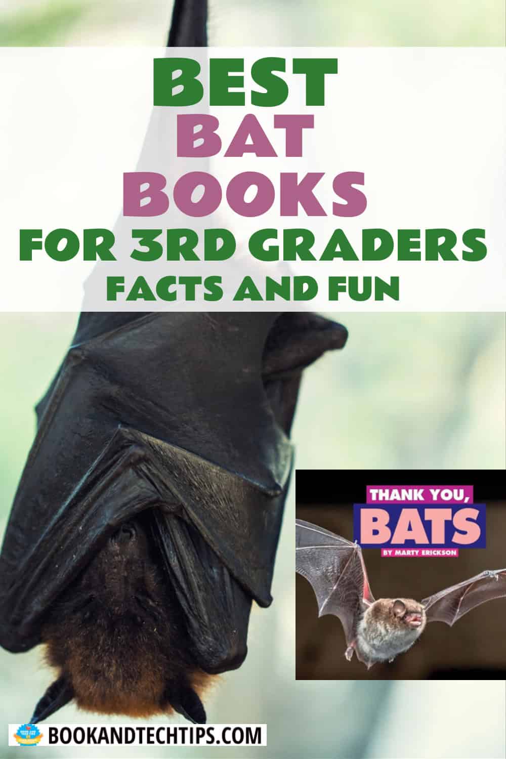 Books About Bats for 3rd grade