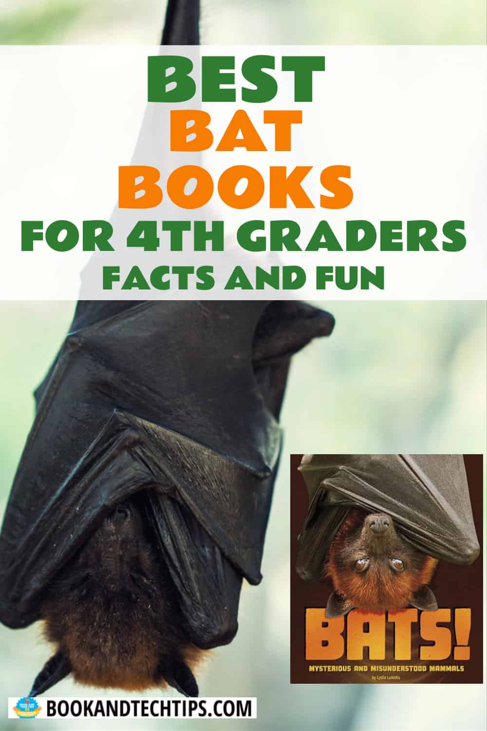 Books About Bats for 4th grade