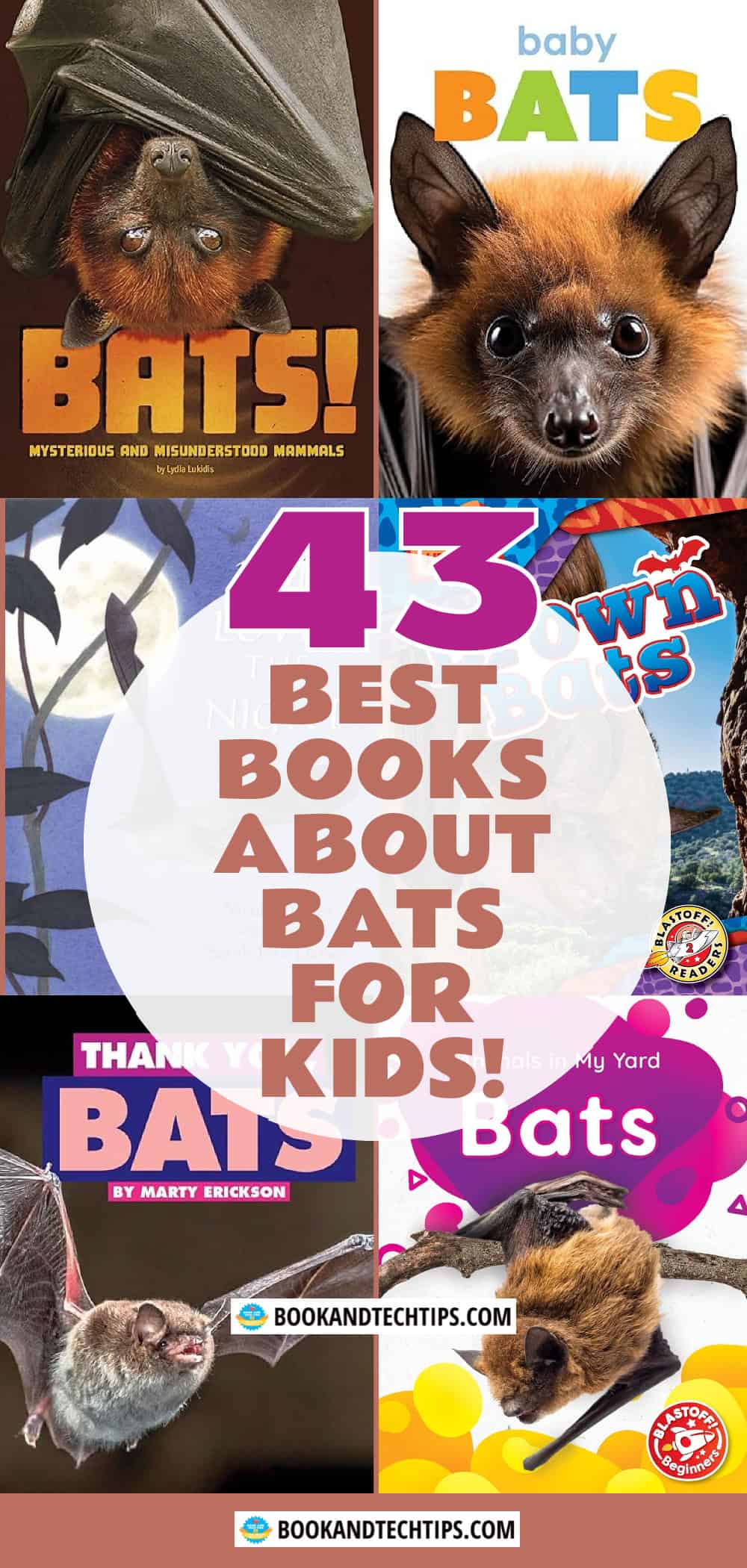 Books About Bats book collage