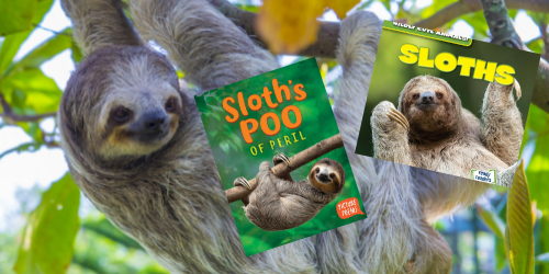 sloth books for kids