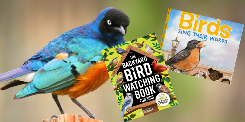 Bird books for kids